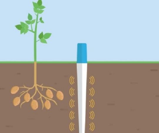 Soil Moisture, temperature & salinity probes