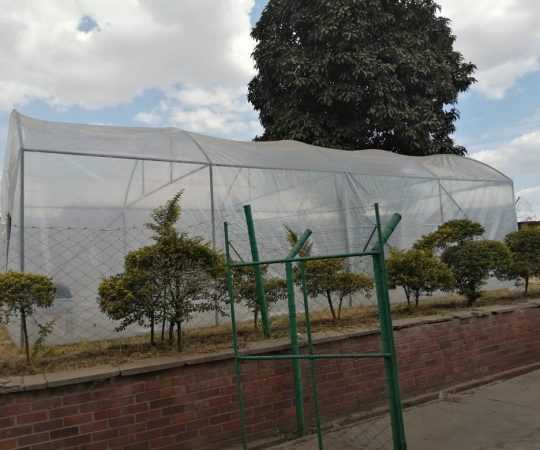 Green House